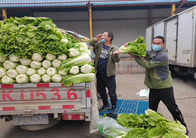 华球(中国)官方加大“冬储菜”调运，全力做好保供稳价